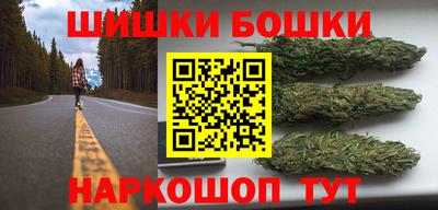 индика Тверь