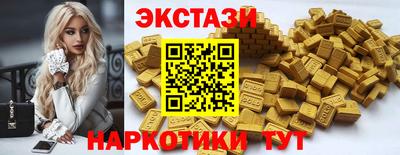 индика Тверь